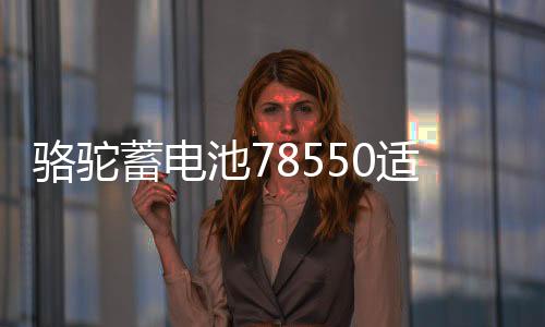 骆驼蓄电池78550适配别克GL8赛威凯迪拉克60ah汽车电瓶 以旧换新