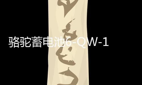 骆驼蓄电池6-QW-120适配拖拉机农用车挖掘机汽车电瓶 以旧换新