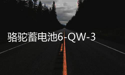 骆驼蓄电池6-QW-36适用于本田飞度哥瑞理念锋范汽车电瓶 以旧换新