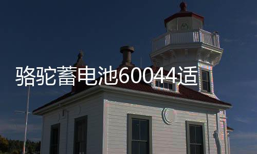 骆驼蓄电池60044适用路虎宝马7系奔驰S级100AH汽车电瓶 以旧换新