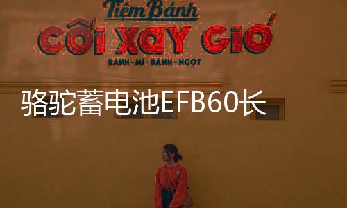骆驼蓄电池EFB60长安CS55/CS75/CS95逸动睿骋CC原装启停汽车电瓶