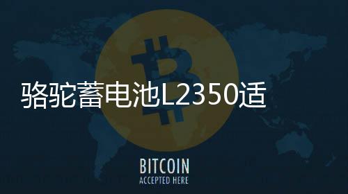 骆驼蓄电池L2350适用于东风景逸长安悦翔睿骋逸动睿成汽车电瓶