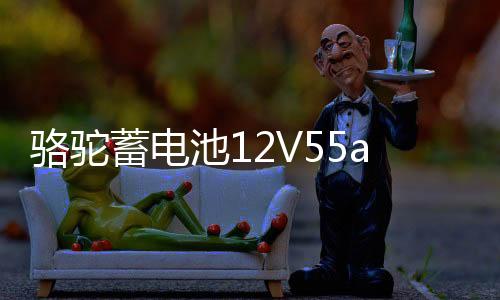 骆驼蓄电池12V55ah汽车电瓶适配宝骏730别克凯越乐风景程85550