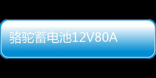 骆驼蓄电池12V80AH皮卡越野车85AH柴油车风骏5叉车汽车电瓶95D31