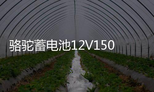 骆驼蓄电池12V150AH大功率大容量船舶逆变器照明摆摊大货车电瓶