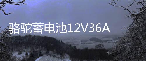 骆驼蓄电池12V36AH汽车电瓶逆变背机适配铃木奥拓飞度锋范三轮车