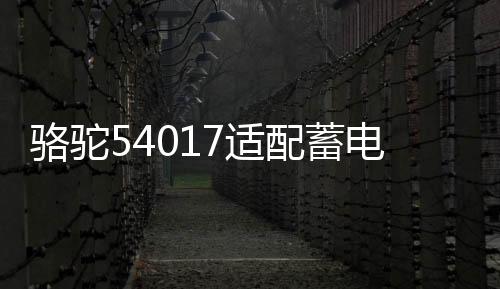 骆驼54017适配蓄电池BYD比亚迪F0原装宝骏310W景逸X640AH汽车电瓶