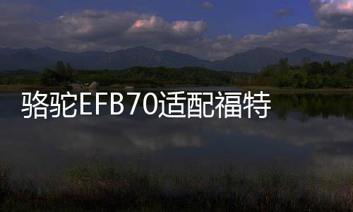 骆驼EFB70适配福特锐际/嘉年华/福睿斯科雷嘉/探界者原装启停电瓶