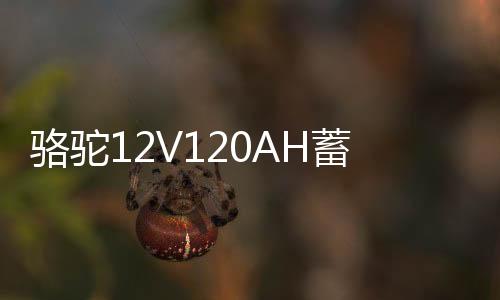 骆驼12V120AH蓄电池N120适配东风解放江铃卡车挖掘机叉车汽车电瓶