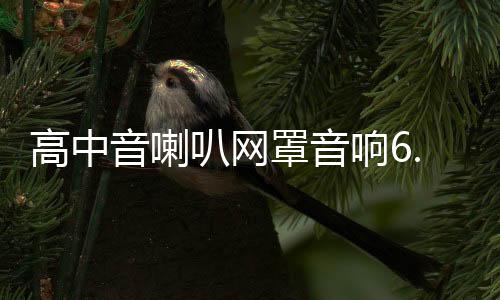 高中音喇叭网罩音响6.5寸1.5寸3寸3.5寸4寸铝合金保护网罩装饰圈
