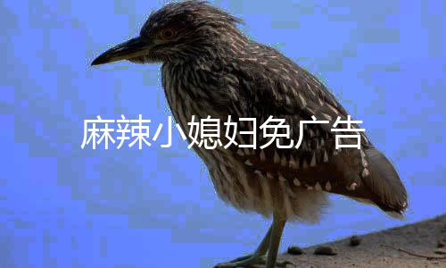 麻辣小媳妇免广告