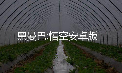 黑曼巴:悟空安卓版