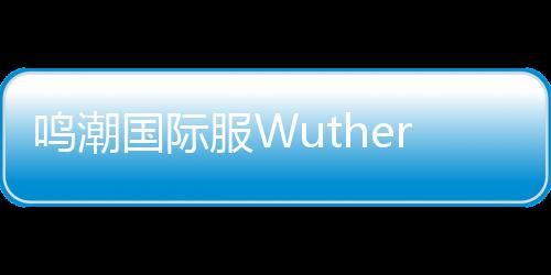 鸣潮国际服Wuthering Waves最新版