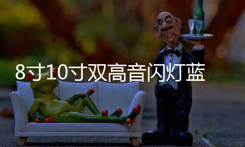 8寸10寸双高音闪灯蓝牙车载低音炮大功率功放汽车音响电脑音箱