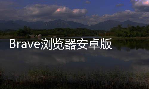 Brave浏览器安卓版 1.66.110