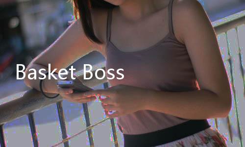 Basket Boss下载
