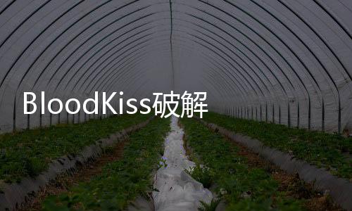 BloodKiss破解版