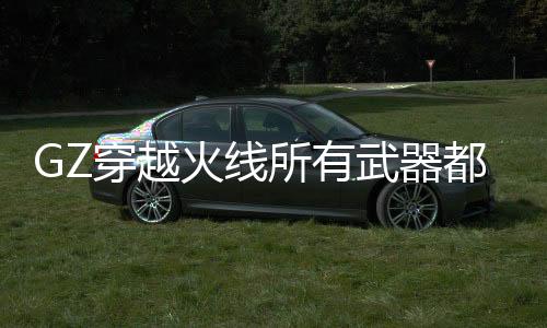 GZ穿越火线所有武器都有的破解版