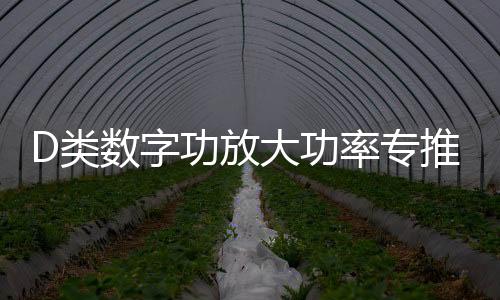 D类数字功放大功率专推单音圈双音圈10寸12寸喇叭无源低音炮功放