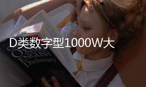 D类数字型1000W大功率发烧级超重纯低音无源双音圈低音炮功放