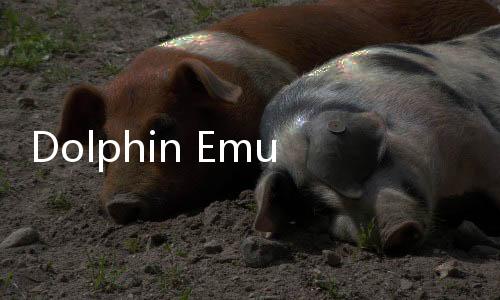 Dolphin Emulator Pro Alpha