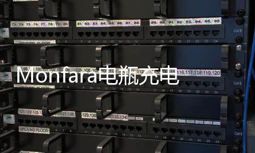 Monfara电瓶充电器12v24V伏汽车水电瓶充电机通用大功率充满自停