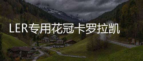 LER专用花冠卡罗拉凯美瑞雷凌汽车喇叭6x9寸音响改装后备箱低音