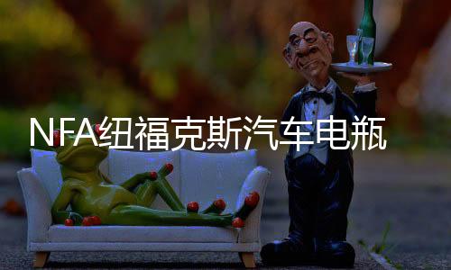 NFA纽福克斯汽车电瓶充电器12V大功率agm蓄电池全自动智能充电机