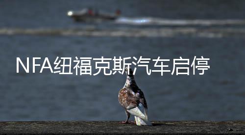 NFA纽福克斯汽车启停铅酸蓄电瓶充电器12V自动电池充电机智能修复