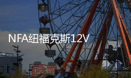 NFA纽福克斯12V 25A全自动汽车电瓶充电器蓄电池充电机 引擎启动