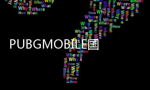 PUBGMOBILE国际版