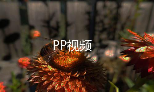 PP视频