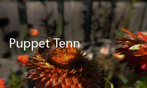 Puppet Tennis-Forehand topspin下载