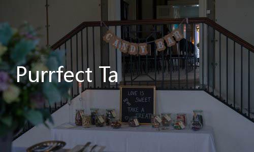 Purrfect Tale最新版
