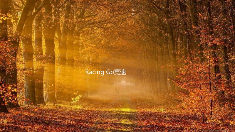 Racing Go竞速赛车
