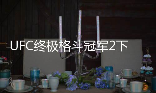 UFC终极格斗冠军2下载