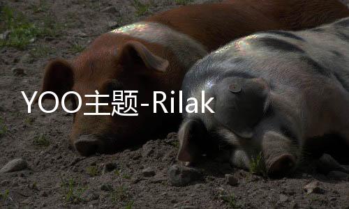 YOO主题-Rilakkuma的下午茶