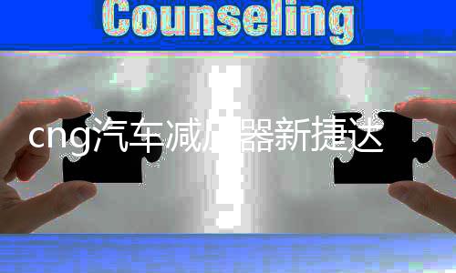 cng汽车减压器新捷达新桑塔纳出租车替代原车减压阀天然气配件