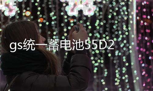 gs统一蓄电池55D23L-KR适配丰田卡罗拉花冠比亚迪雅阁汽车电瓶12v