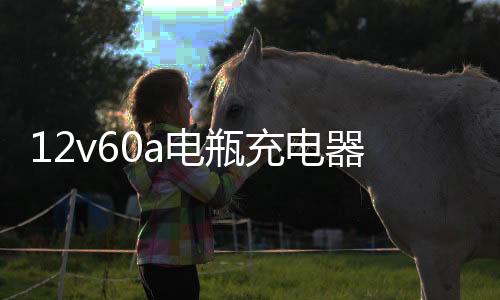 12v60a电瓶充电器汽车摩托车充电机全铜24v通用快速大功率蓄电池