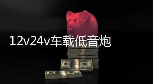 12v24v车载低音炮汽车货车音响无线蓝牙音箱220v家用大音量重低音