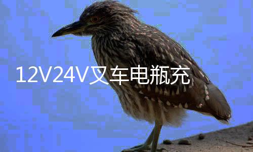 12V24V叉车电瓶充电器大货车卡车汽车摩托充电器纯铜智能通用充电