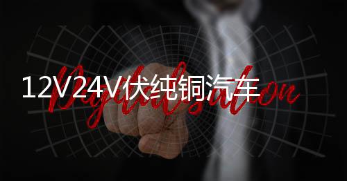 12V24V伏纯铜汽车电瓶充电器通用智能大功率农用车收割电瓶充电机