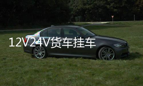 12V24V货车挂车 防追尾爆闪雾灯三角形LED爆闪灯七彩灯后雾灯