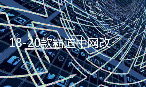 18-20款霸道中网改装 普拉多中网饰条 亮条装饰配件彩条专用