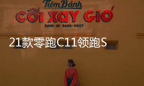 21款零跑C11领跑S01/T03汽车改装迎宾踏板不锈钢门槛条后护板配件