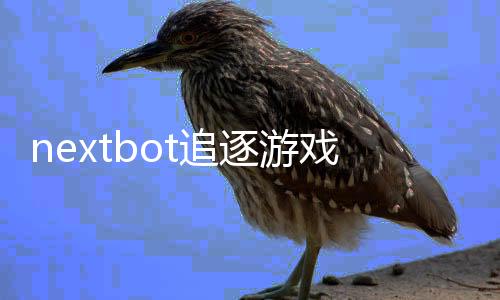 nextbot追逐游戏手机版