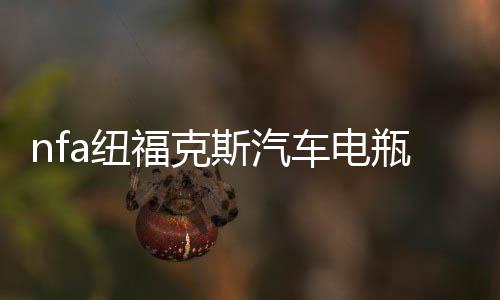 nfa纽福克斯汽车电瓶充电器车用12V伏agm启停蓄电池大功率冲电机