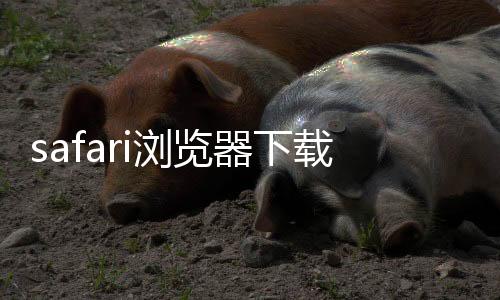 safari浏览器下载 1.2