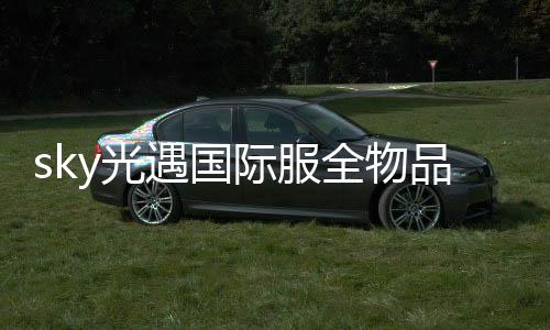 sky光遇国际服全物品版